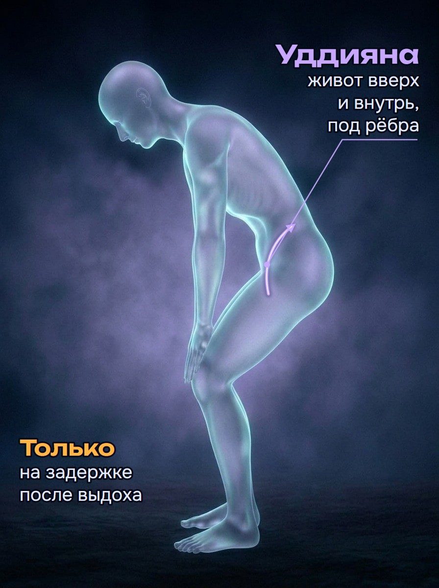 Уддияна бандха в профиль: наклон вперёд, ладони на бёдрах, на задержке после выдоха живот уходит вверх и внутрь, под рёбра